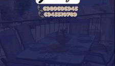 Sea flight - Photo 4