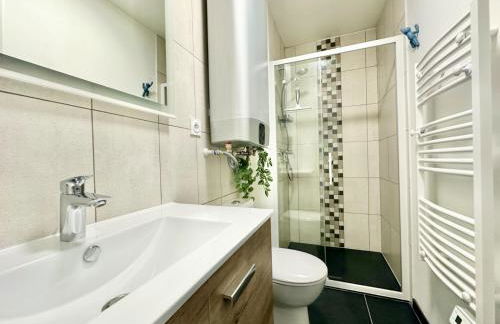 Le Lemovice, lumineux et calme - Foto 8