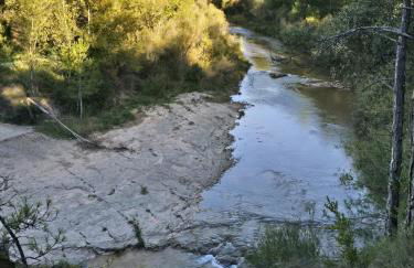 Pirineu Nature - Foto 9
