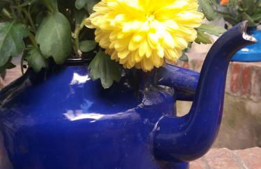 Casa Museo Jerez Centro - Foto 28