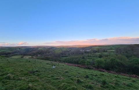 Spacious Cottage in Dartmoor - Foto 21