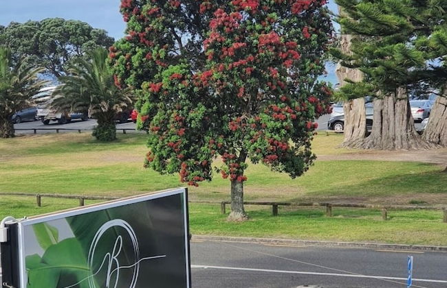 Orewa Beachcomber - Photo 80