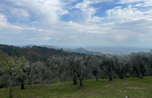 Podere il Poggio - Foto 15