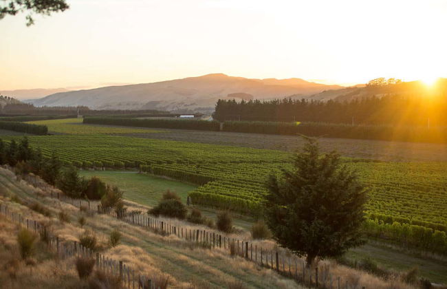 Tour del vino por Martinborough - Foto 3