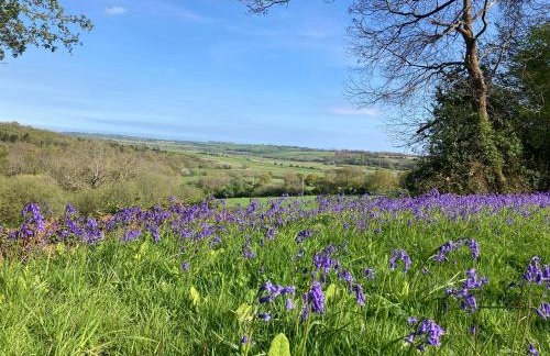Barefoot Yurts - Photo 29