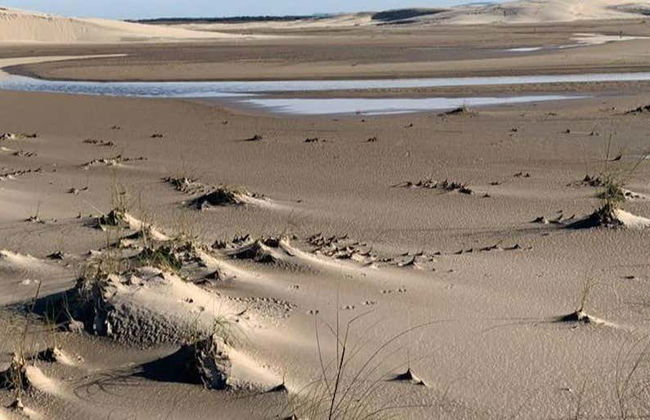 Hiking in Parque das Dunas - Photo 1