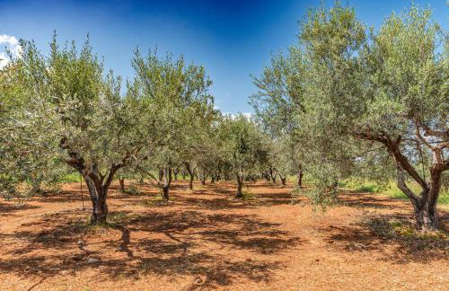 KrinesGReece - Foto 30