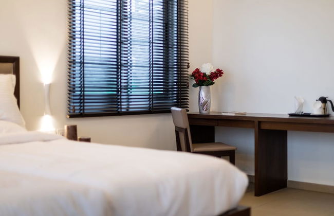 Silver Mist - Foto 2