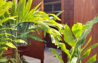 Kalani Hawaii Private Lodging - Foto 13