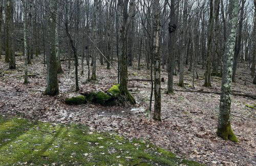 Cozy Cabin - Foto 28