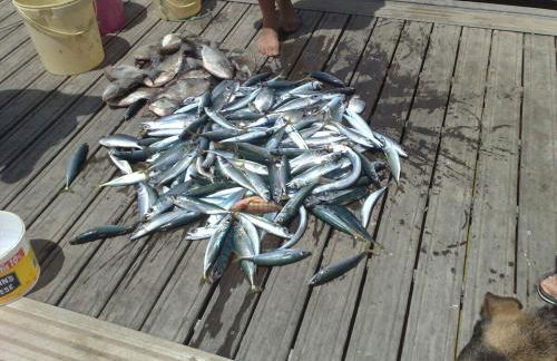 2 Bedroom Top Floor Apartment, Oasis Parque, near Alvor AT01 - Foto 33