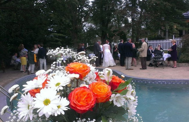 7 Bedroom Manor near Appomattox & Lynchburg - Photo 19