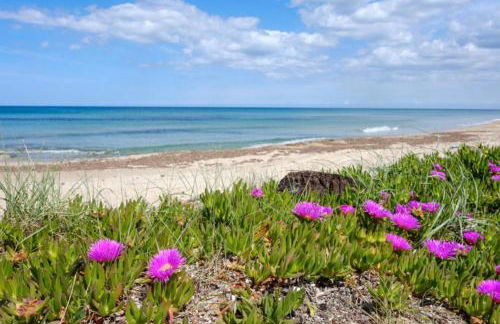 Casa EmiSa - Foto 19