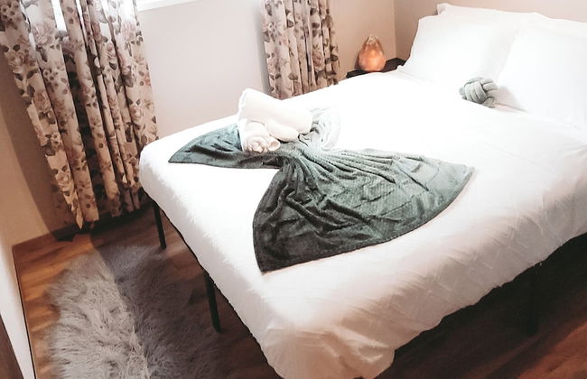 The Canary 223 - Photo 4