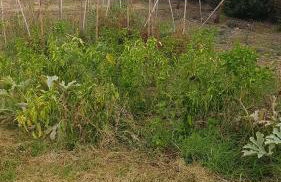 Silver villa Raches maisonette & Green - Foto 18