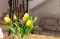 Dimora Floris accogliente appartamento in borgo storico a 7 chilometri dal mare - Photo 3