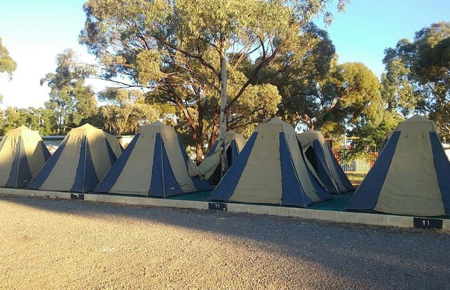 Big4 Acclaim Prospector Holiday Park - Foto 23