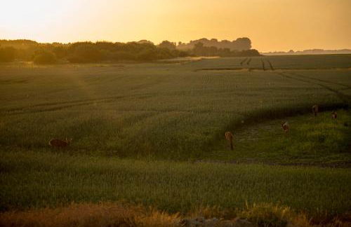 Traumlage-Maasholm - Foto 41