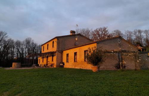 Podere Sant'Antonio - Foto 52