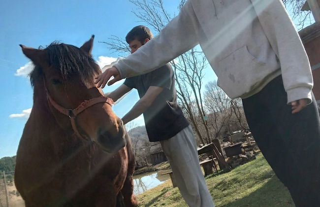 Rustic Wild Retreat IN Romania - Foto 28