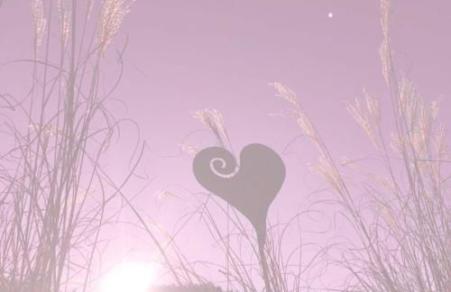 Ferienwohnung / Appartement Bergliebe - Foto 47