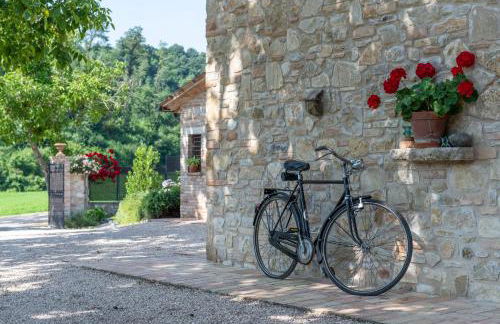 Todi Truffle - Photo 13