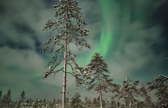 SnowLounge AuroraHut GlasIgloos IceHotel - Foto 23