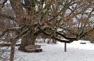 Alb-Biosphäre-Ferienwohnung - Foto 43