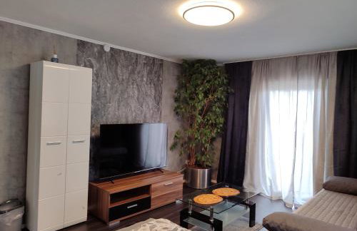 Ferienwohnung Rhein-Main II - Foto 41