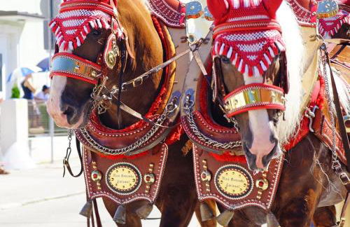 Cottage Living - Foto 50