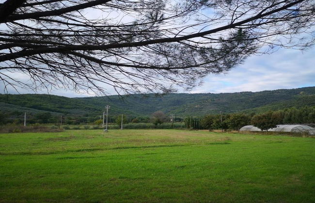 Veldenberg Nature Resort Stay - Foto 34