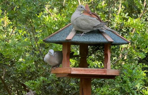 Villa Dei Fiori - casa vacanza - Foto 41