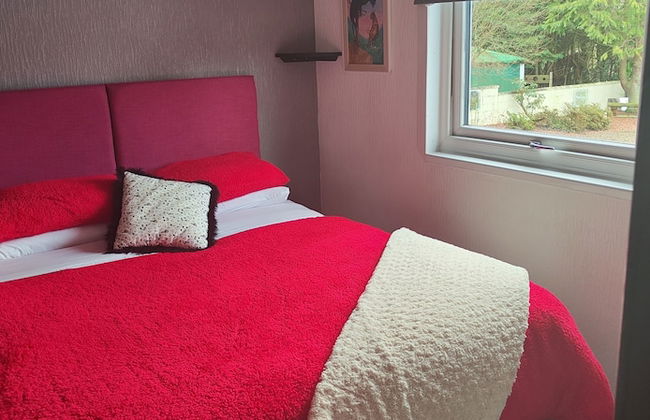 The Cabin Quiet, Relaxing and dog Friendly - Foto 2