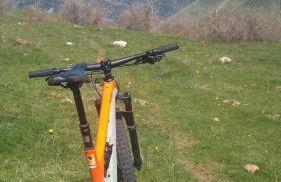 Apartaments La Peguera II - Foto 13