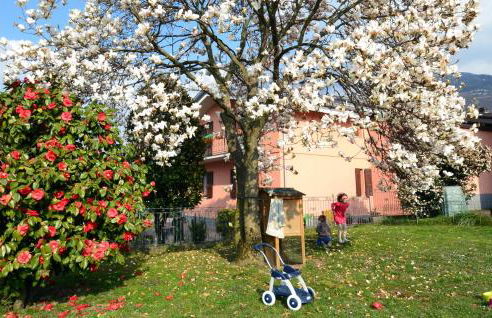 La Gallina - Foto 18