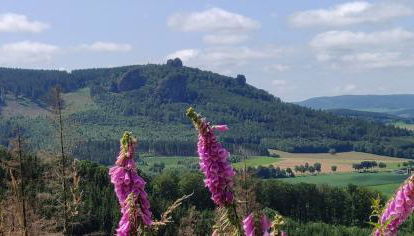 Ferienhaus Schulte - Villa Jupp und Apartment Liesl - Foto 3