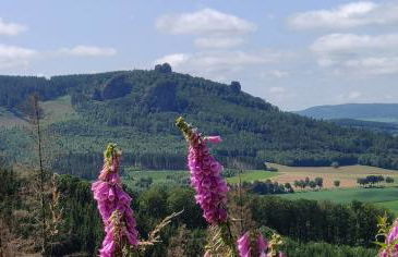 Ferienhaus Schulte - Villa Jupp und Apartment Liesl - Foto 3