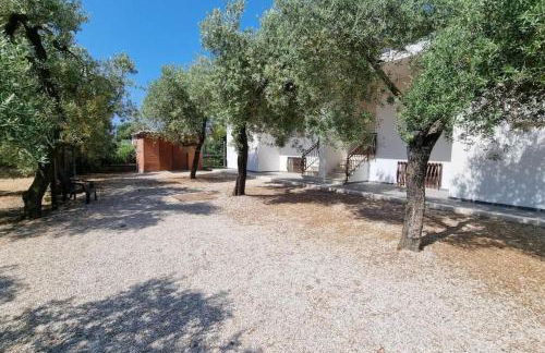 Villa degli Ulivi a pochi passi dal mare - Foto 10