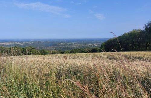 La Futaie - Photo 10