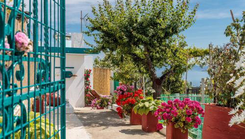 Anatoli Peak Cottage - Foto 2, Garden