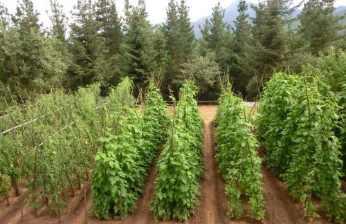 Apartamento en pleno Montseny Mas Romeu Turisme Rural - Foto 55