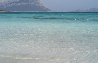 Domo de Mari - Photo 11