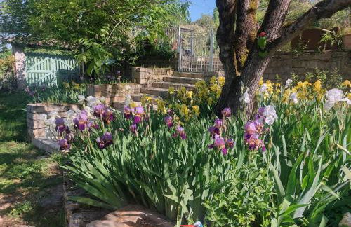 La Cachette des Amoureux - Foto 15