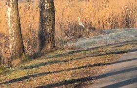 Ferienwohnung Jasmin - Foto 28