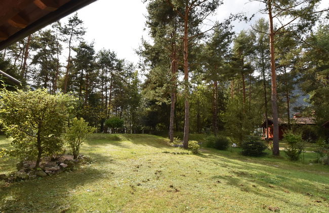 Villa Pineta - Foto 26