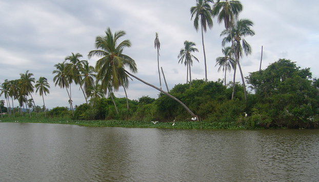 Coyuca Lagoon - Photo 2