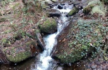 Apartamento con piscina - Foto 12