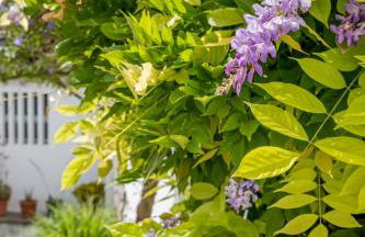 Aqueduct View House - Foto 2