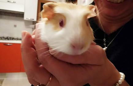 La Casa di Pamy - Foto 73