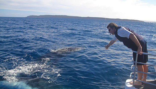Whale Watching in Jervis Bay - Photo 4, Listening to the guide's explanations